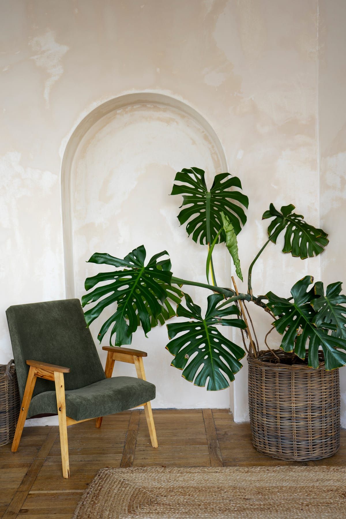 Potted monstera and ferns arranged near a bright window